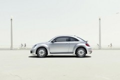 beetle